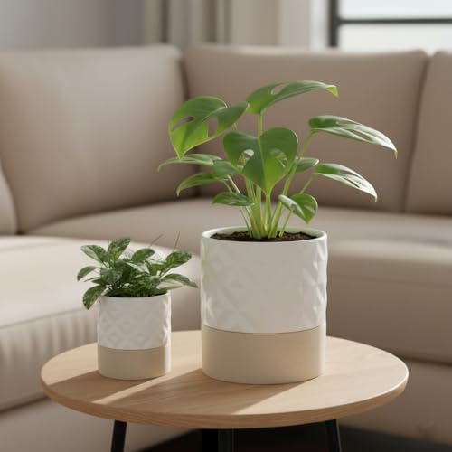 Self Watering Plant Pot for Indoor Plants