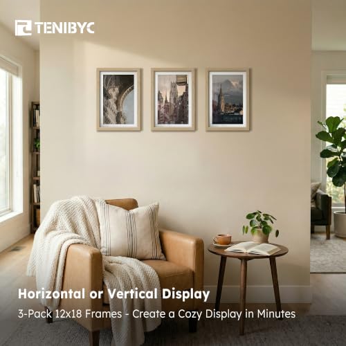12x18 Poster Frame 3 Pack (3 Count)