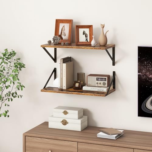 20 Inch Floating Shelves (2 Count)
