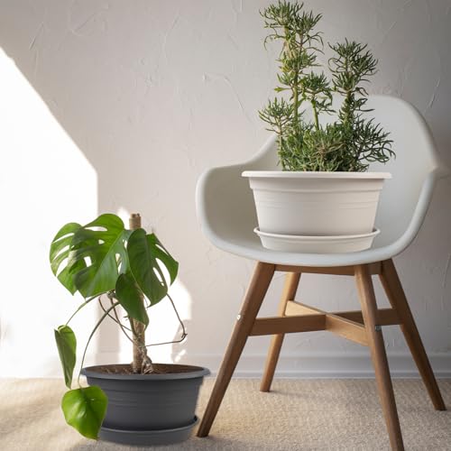6 Pack 10 inch Plant Pot (6 Count)
