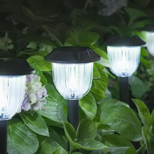 Solar Path Lights (12 Count)