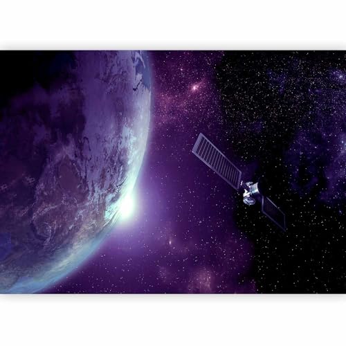 Wall Mural Wallpaper (4 Count)