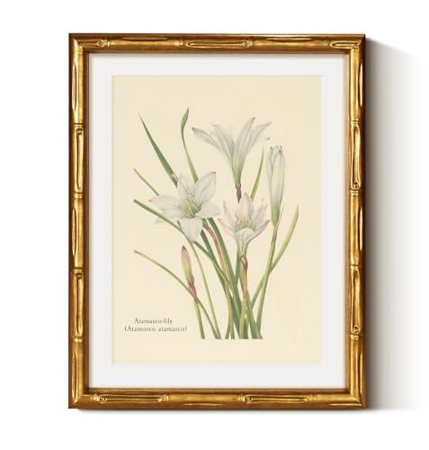 Gold Framed Bamboo Wall Art