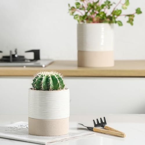 Ceramic Self Watering Plant Pot for Indoor Plants (2 Count)