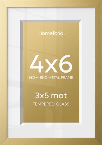 4x6 Gold Picture Frame