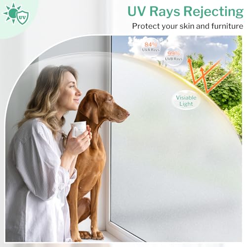 Frosted Glass Window Privacy Film (19.38 Sq Ft)