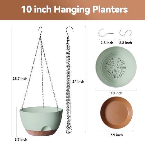 Hanging Planter for Indoor Plants (2 Count)