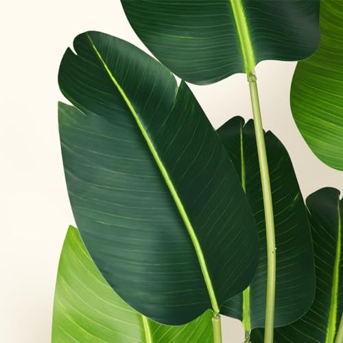 Artificial Bird of Paradise Plant (2 Count)