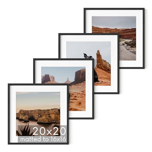 Black Oak Wood 20x20 Picture Frames (4 Count)