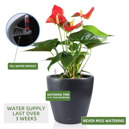 13x12 Self Watering Planter with Wheels