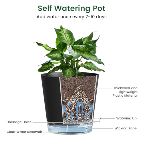 6 inch Self Watering Pots for Indoor Outdoor Plants (3 Count)