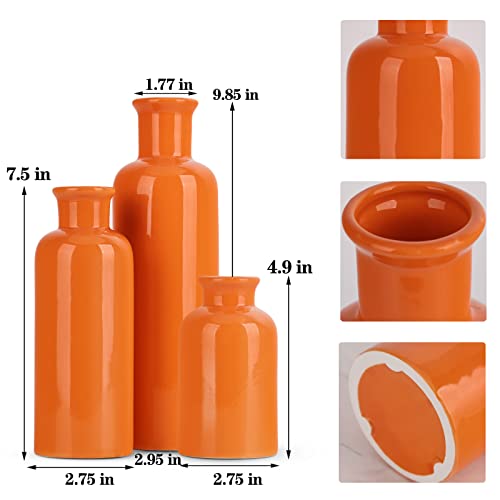 Ceramic Vase Set (3 Glossy finish)