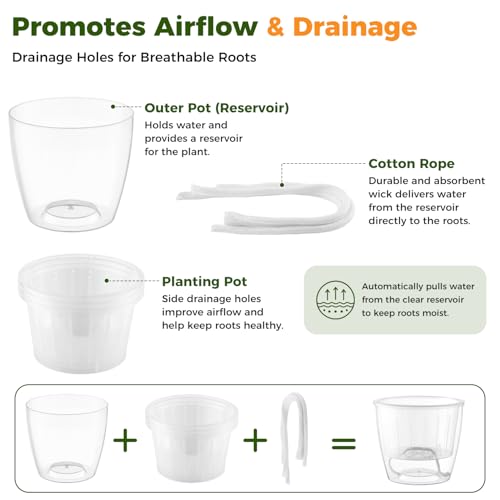 Clear Self Watering Pots for Indoor Plants (6 Count)