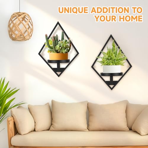 Wall Plant Holder (3 Count)