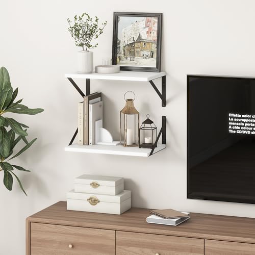 10 Inch Deep Floating Shelves (2 Count)