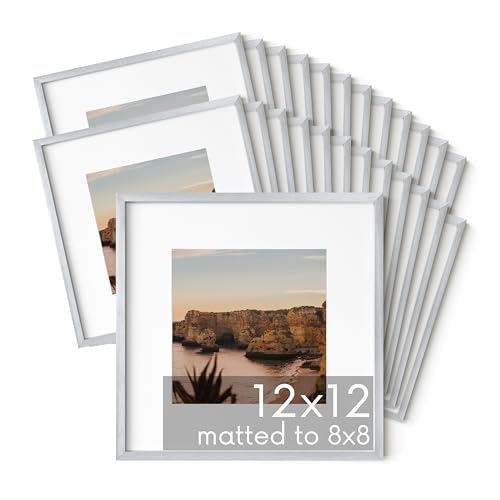 12x12 Silver Metal Picture Frames Matted to 8x8