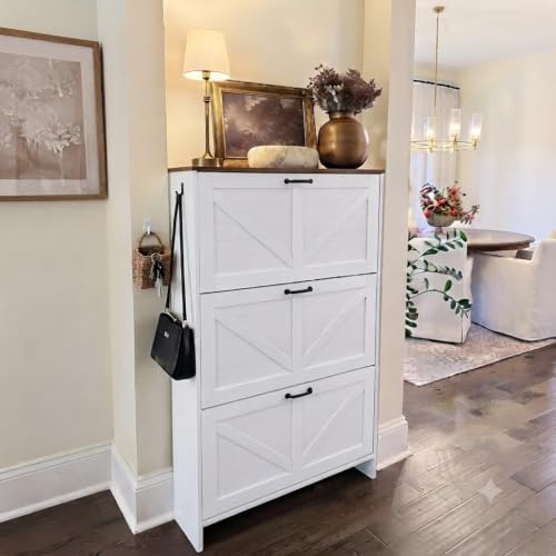 Shoe Cabinet for Entryway
