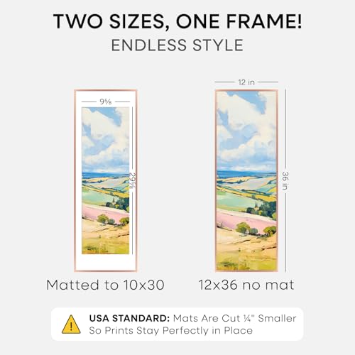 12x36 Rose Picture Frame