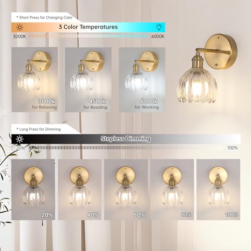 Battery Operated Vintage Wall Sconces with Transparent Tulip Glass Lampshade Battery Powered Wall Lighting for Bedside Bedroom Doorway