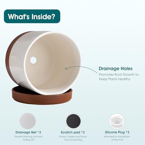 Ceramic Pots for Plants (3 Count)