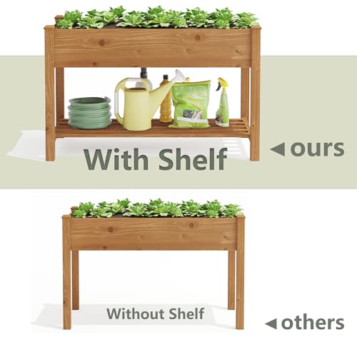 Raised Garden Bed with Shelf