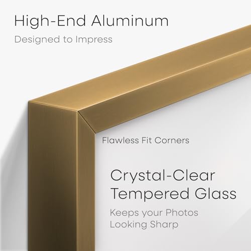 11x18 Bronze Diploma Frame (2 Count)