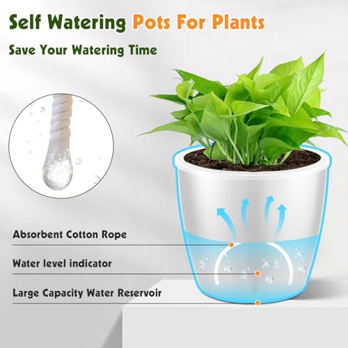 Self Watering Pots for Indoor Plants (6 Count)