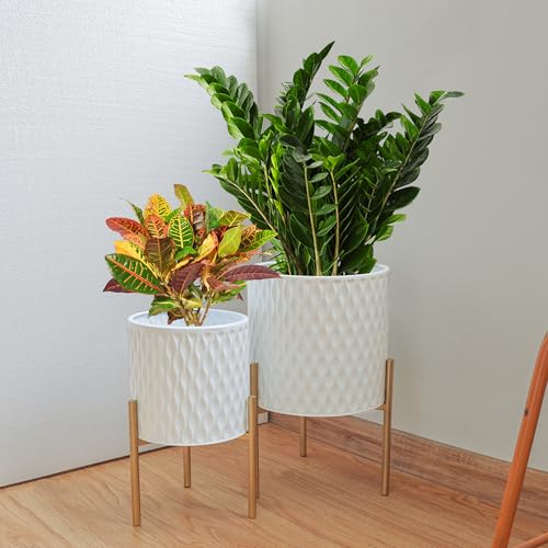 Plants Pots with Stand (2 Count)