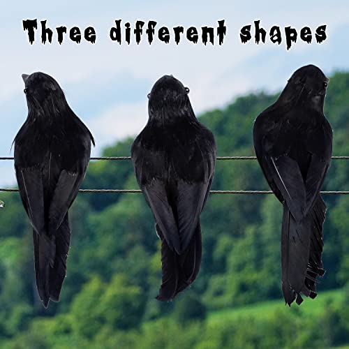 12 Pack Halloween Black Feathered Crows (12 Count)