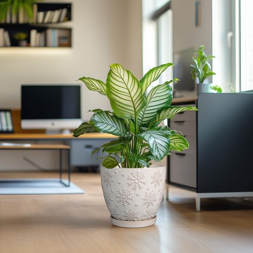 Ceramic Planter