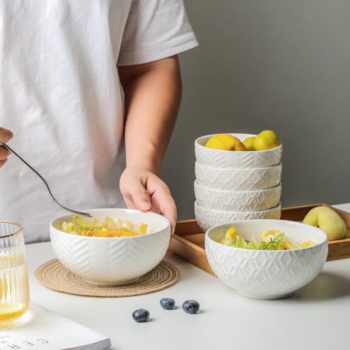 Sureasy Ceramic Cereal Bowls Set of 4 (4 Count)
