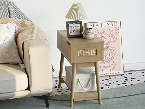 Storage Bins with Lids (3 Count)