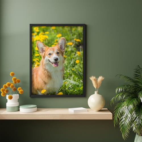 Custom Framed Poster Prints with Your Any Photos