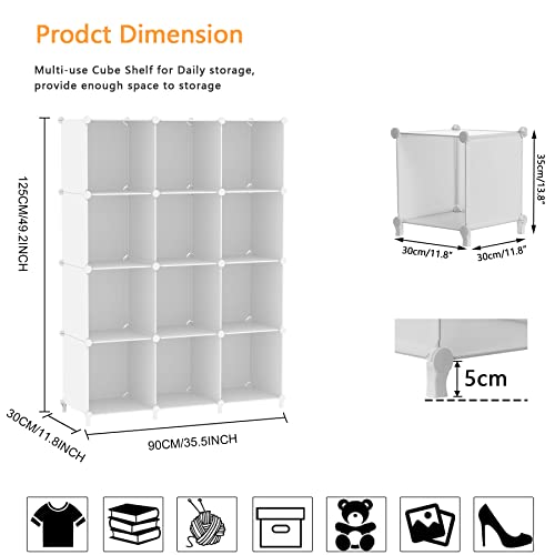 12 Cube Storage Organizer