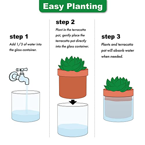 4 Inch Self Watering Planter Pot (3 Count)