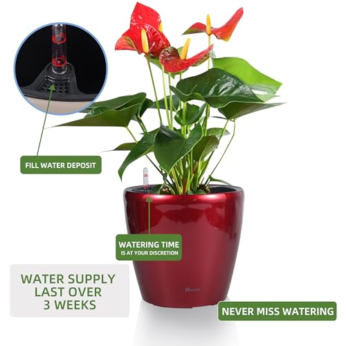 11x10 Self Watering Planter