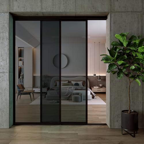 Glass Room Divider and Sliding Glass Closet Doors
