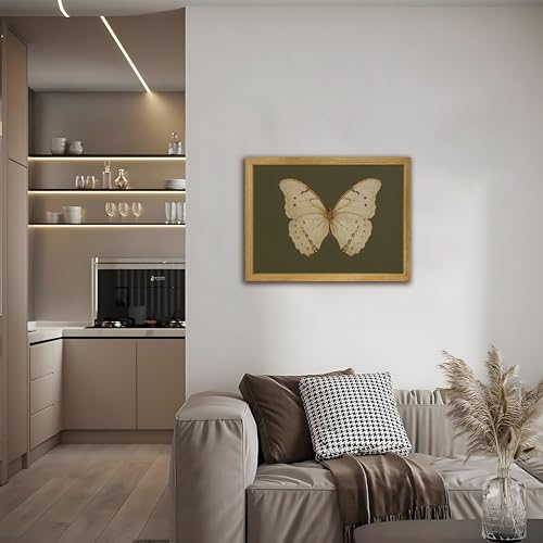 Wood Framed Butterfly Wall Art