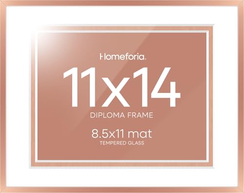 11x14 Rose Diploma Frame (3 Count)