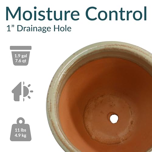 Sunnydaze Chalet 12" Ceramic Plant Pot (2 Count)