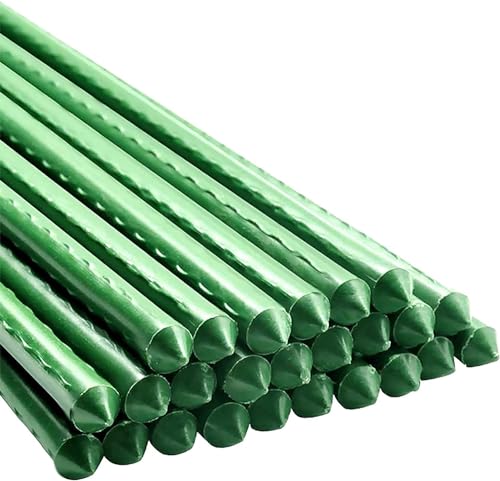 Garden Plant Stakes (25 Count)