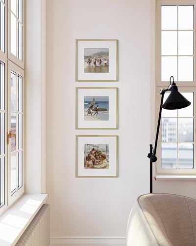 12x12 Gold Metal Picture Frames Matted to 8x8