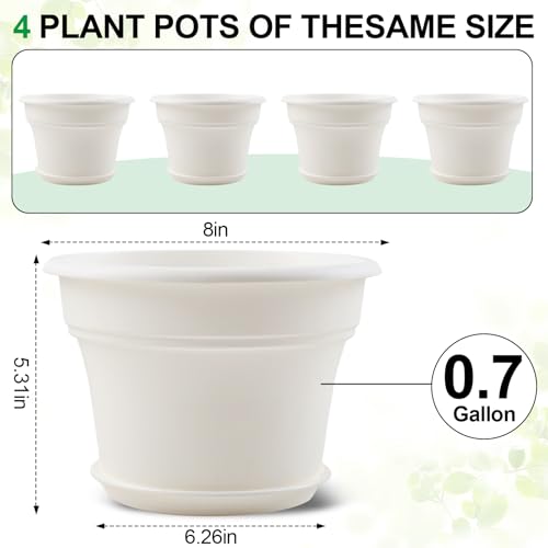 8 Inch Plastic (4 Count)