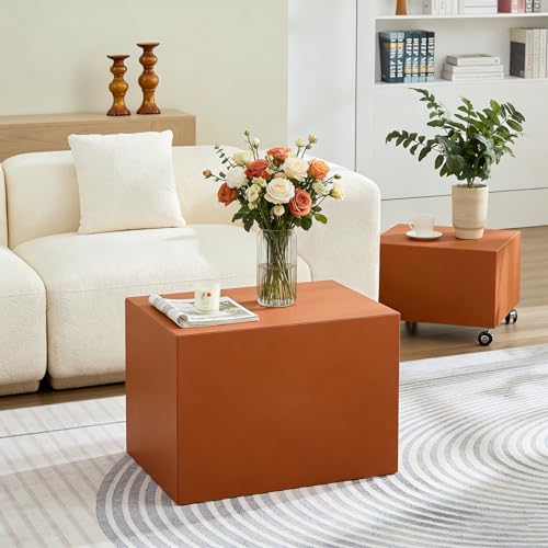 23.62" Modern Leather Coffee Table Set