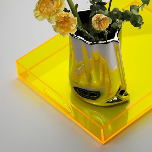 16"x12" Large Acrylic Serving Tray