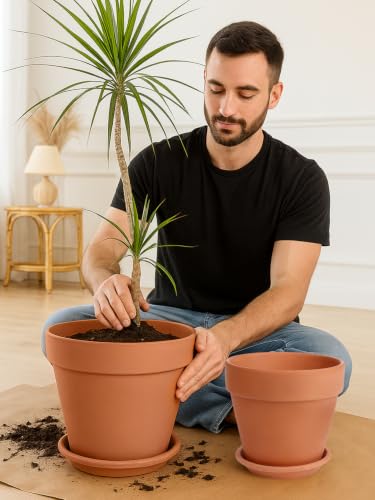 Terracotta Pot with Saucer 10&12 Inch (2 Count)