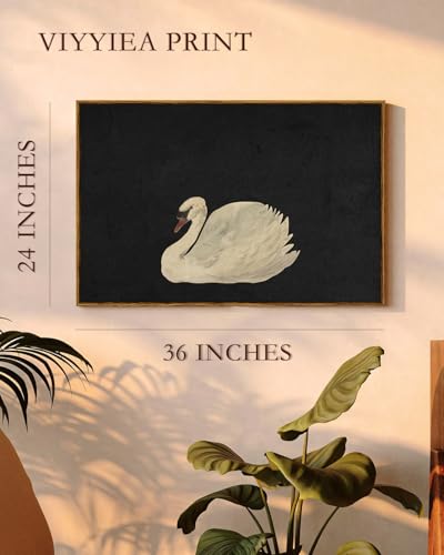 Framed Swan Art Wall Decorations Canvas Wall Art Prints