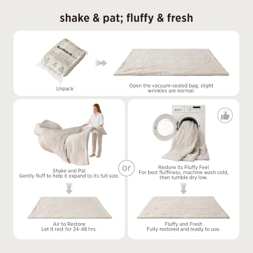 Twin Comforter Set
