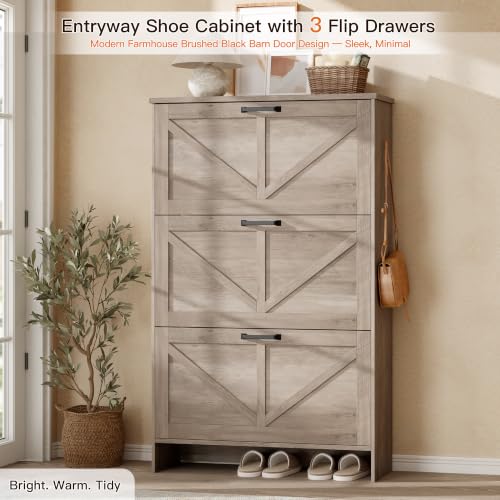 Shoe Cabinet for Entryway
