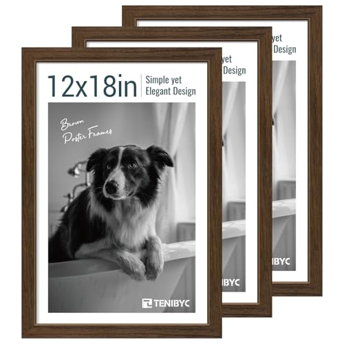 12x18 Poster Frame 3 Pack (3 Count)